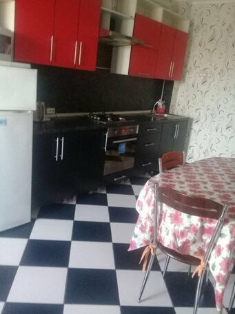 Na Tatischeva Apartments - Photo5