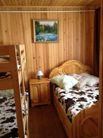 Altay Center of Sledding Sport - Photo3