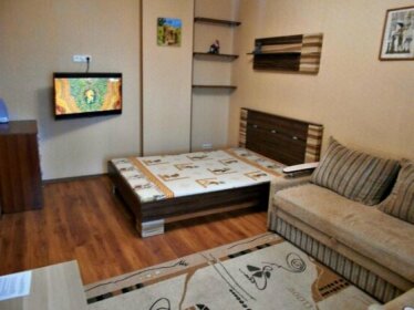 Apartment on Malahova 1