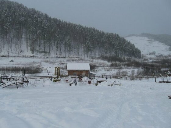 Dauria - Photo4