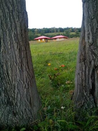 Gostevoj Domik Guest House - Photo3