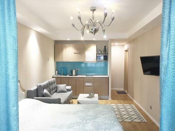 Stilnyie Premium Studii Apartments - Photo2