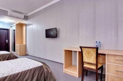 Gray Bryansk - Photo3