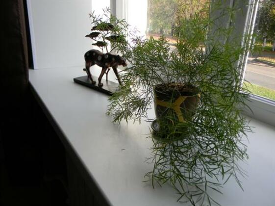 Hostel Shirman - Photo3
