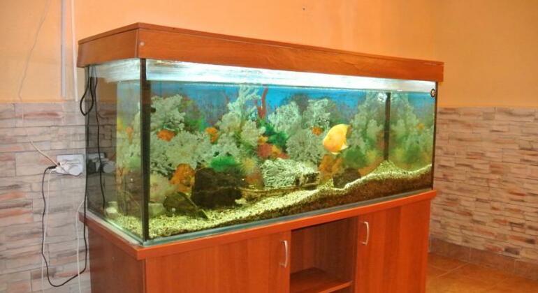 Hotel New Continent - Photo4