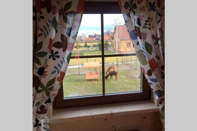 Farm House Pronino - Photo3