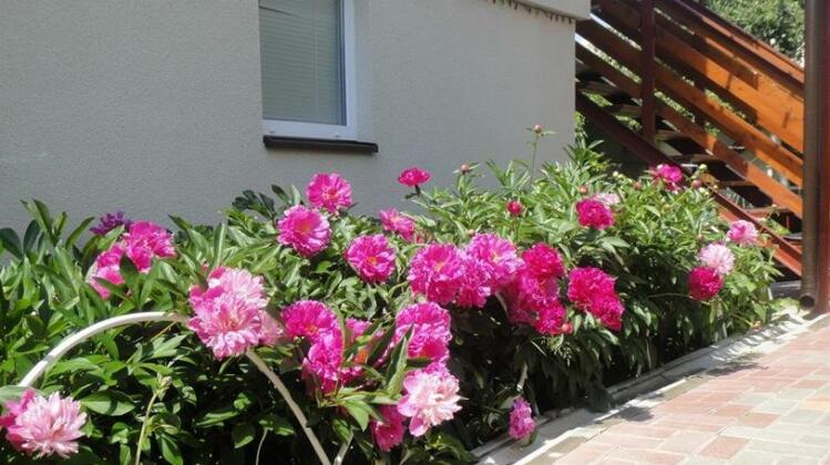 Homely - Photo2
