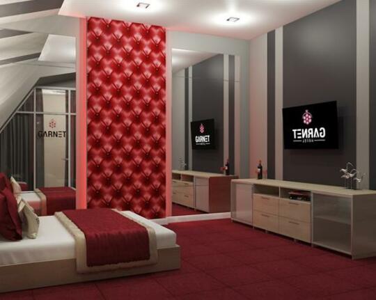Garnet Hotel Chelyabinsk - Photo3
