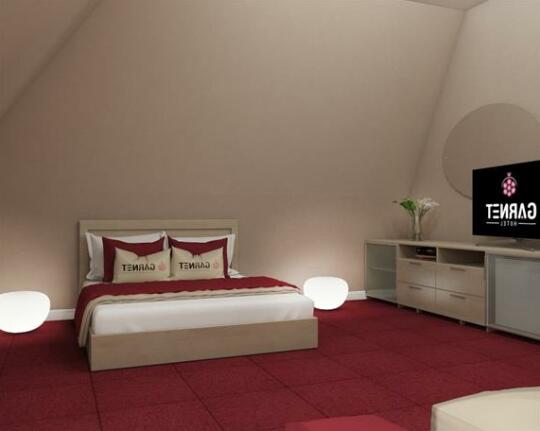 Garnet Hotel Chelyabinsk - Photo5