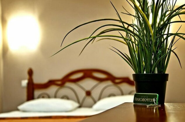 Hotel Pertovskiy - Photo3