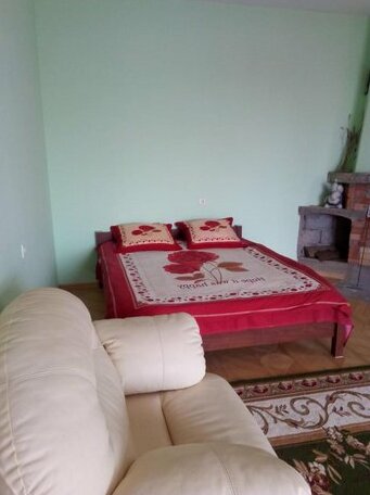 Gornyi Guest house - Photo5