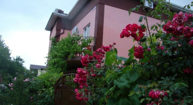 Divnomorye Guest House - Photo3