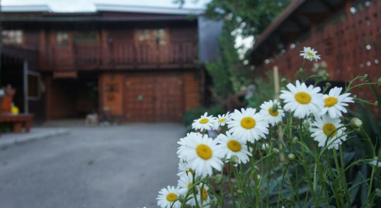 Guest House Teremok Dolzhanskaya - Photo4