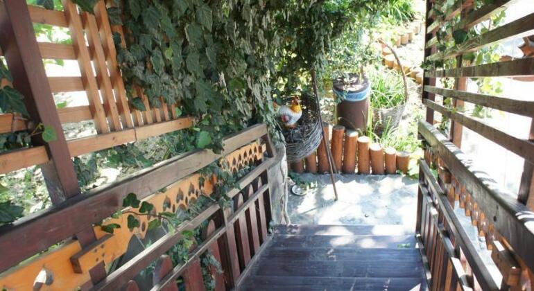 Guest House Teremok Dolzhanskaya - Photo5