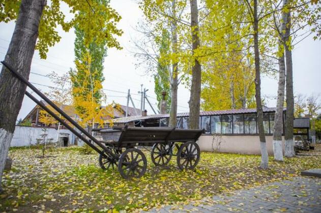 Aleksandrina Hotel - Photo3