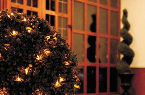 Hotel Volga - Photo3