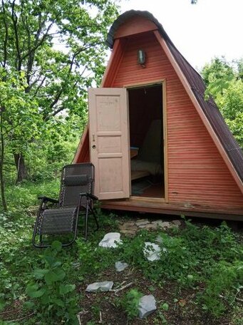 Nature and Thoughts Camp - Photo2