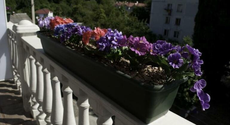 Livadiya Guest House - Photo4