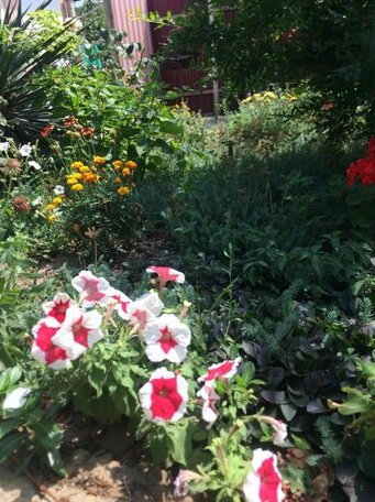 Guest House Elena Il'ich - Photo5