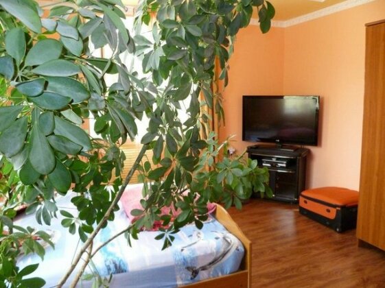 Guest house Irina Il'ich - Photo4