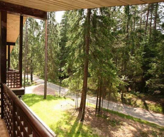 Forest Rhapsody Resort - Photo4