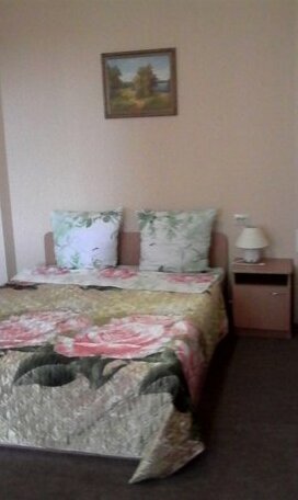 Mechta Mini-hotel Ilyino - Photo4