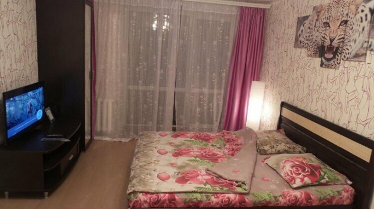 Spacious Apartment on Parizhke - Photo2