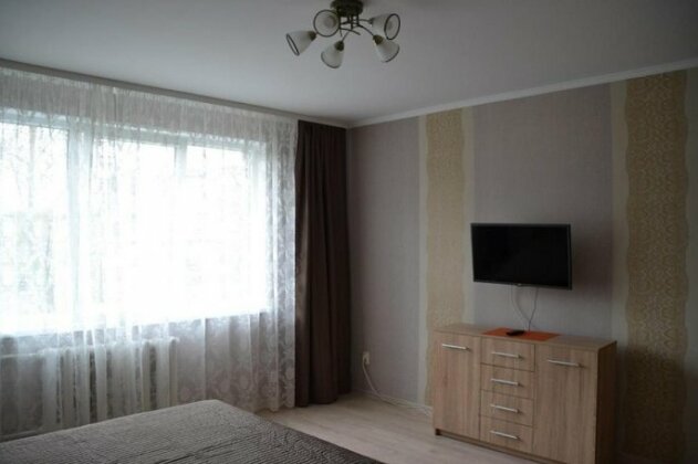 Apartment on Bagrationa 138 - Photo2