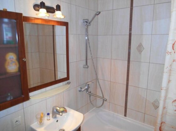 Apartment on Proletarskaya 60 - Photo5