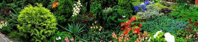 Guest House Delta - Photo5