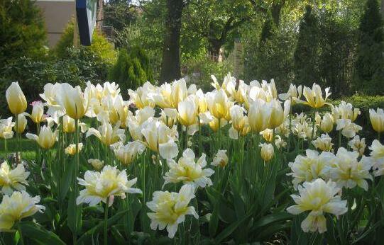 Oberteich - Photo3
