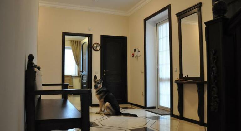 Villa Medved - Photo4