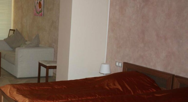 Art Hotel Karaskovo - Photo5