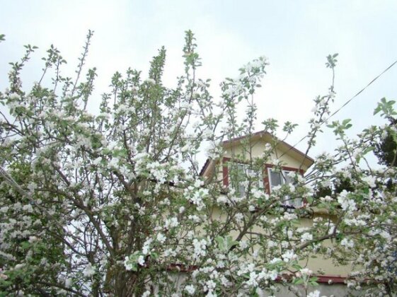 Kartoshkino hostel - Photo4