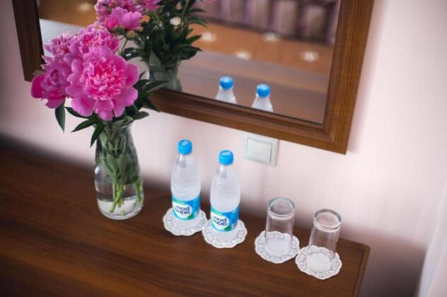 Vintage Hotel Kaluga Kaluga Oblast - Photo2