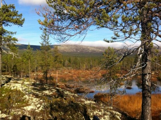 Country House Kandalaksha - Photo2