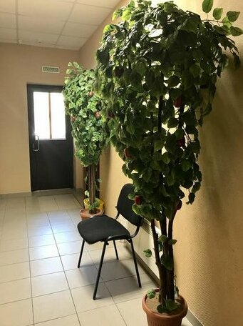 Motel Zeleniy Bor - Photo2