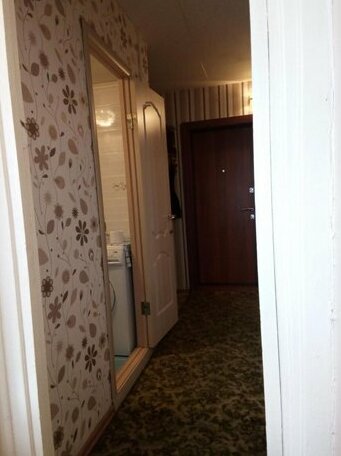 Homely apartment Kazan - Photo4