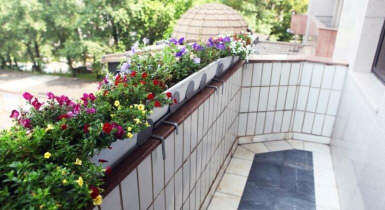 Ali Hotel - Photo2