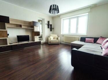 Apartment Engelsa 56