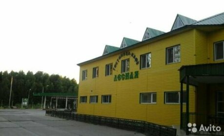 Mini-hotel Lesnaya