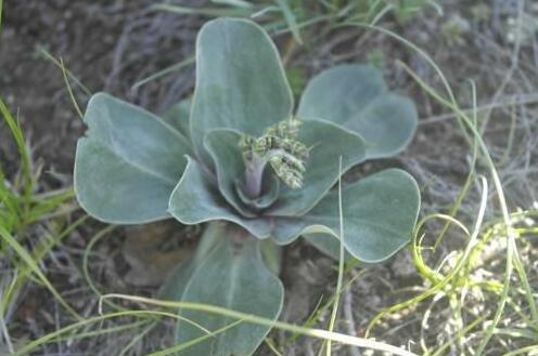 Turbaza Gavan - Photo3