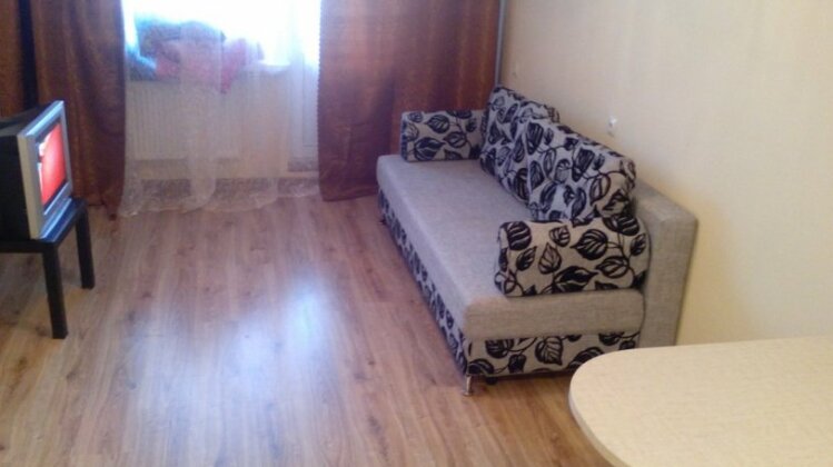 Vash Dom na Moskovskoy 121/1 Apartments - Photo4