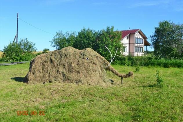 Ostrov Cottage Village - Photo4