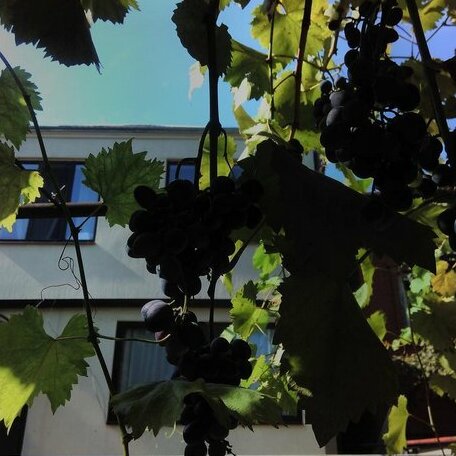 Hostel New - Photo4