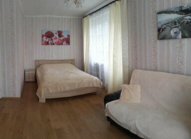 Apartment on Guseva 5