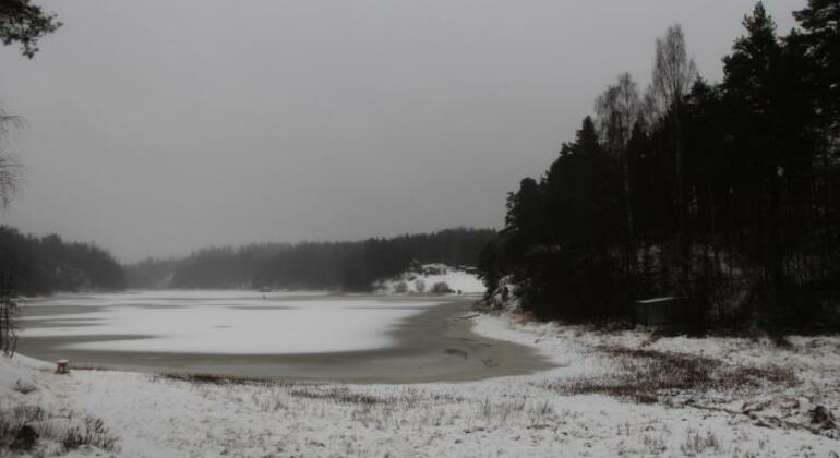Annilahti - Photo3