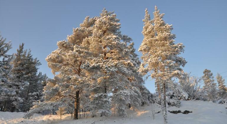 Annilahti - Photo4