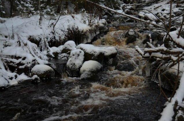 Domik in Harvia - Photo4