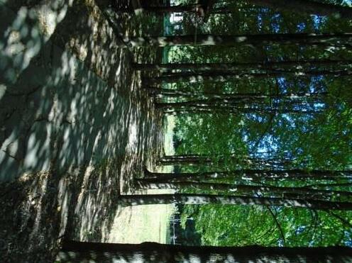Ethno-Park Usadba Rybatskoye - Photo3